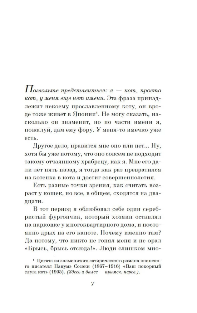 Klejojošā kaķa hronikas